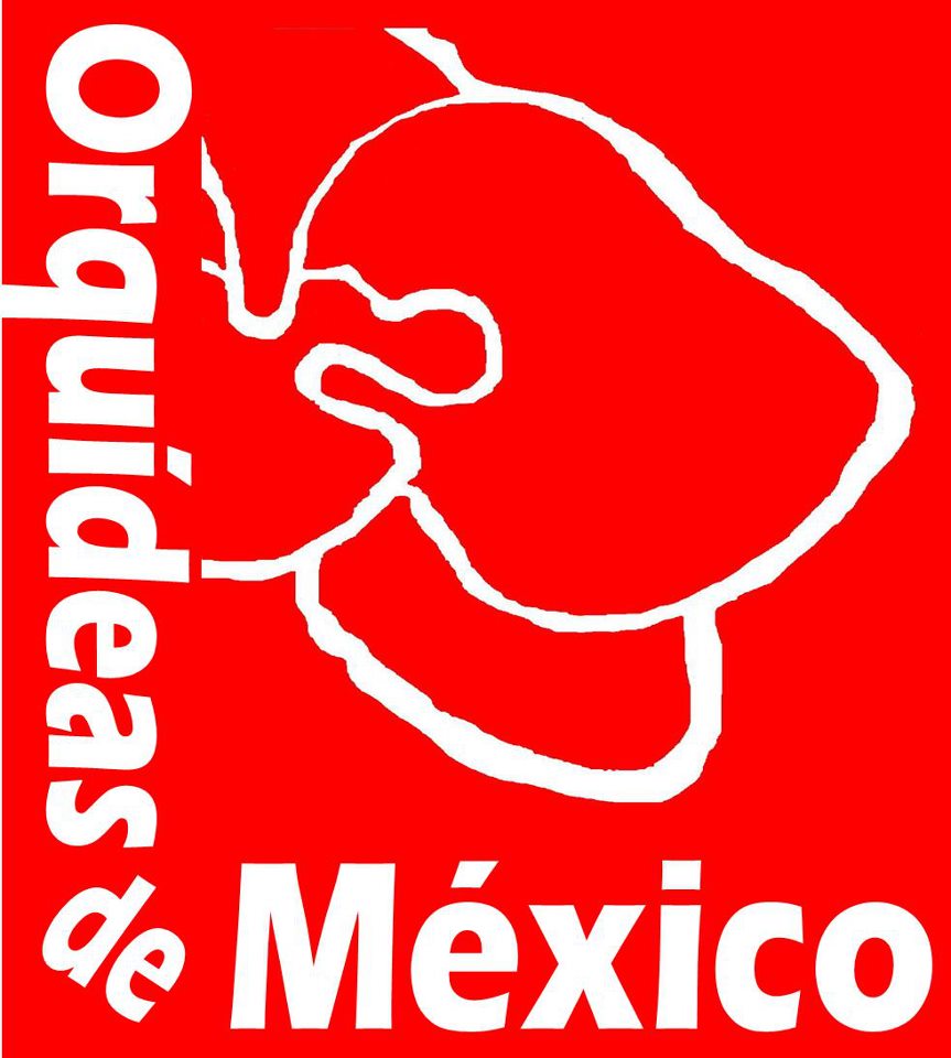 d_orquideas_mexico