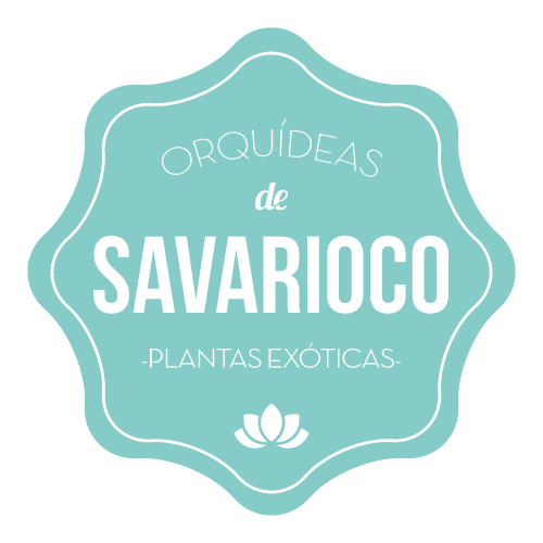 d_savarioco