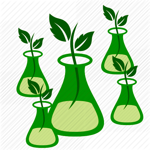 paquetes_biotecnologia_b