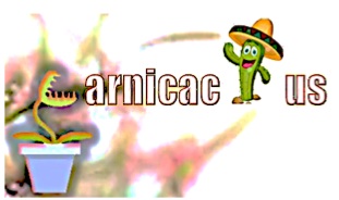 Captura de pantalla 2020-03-27 IRAPUATO
