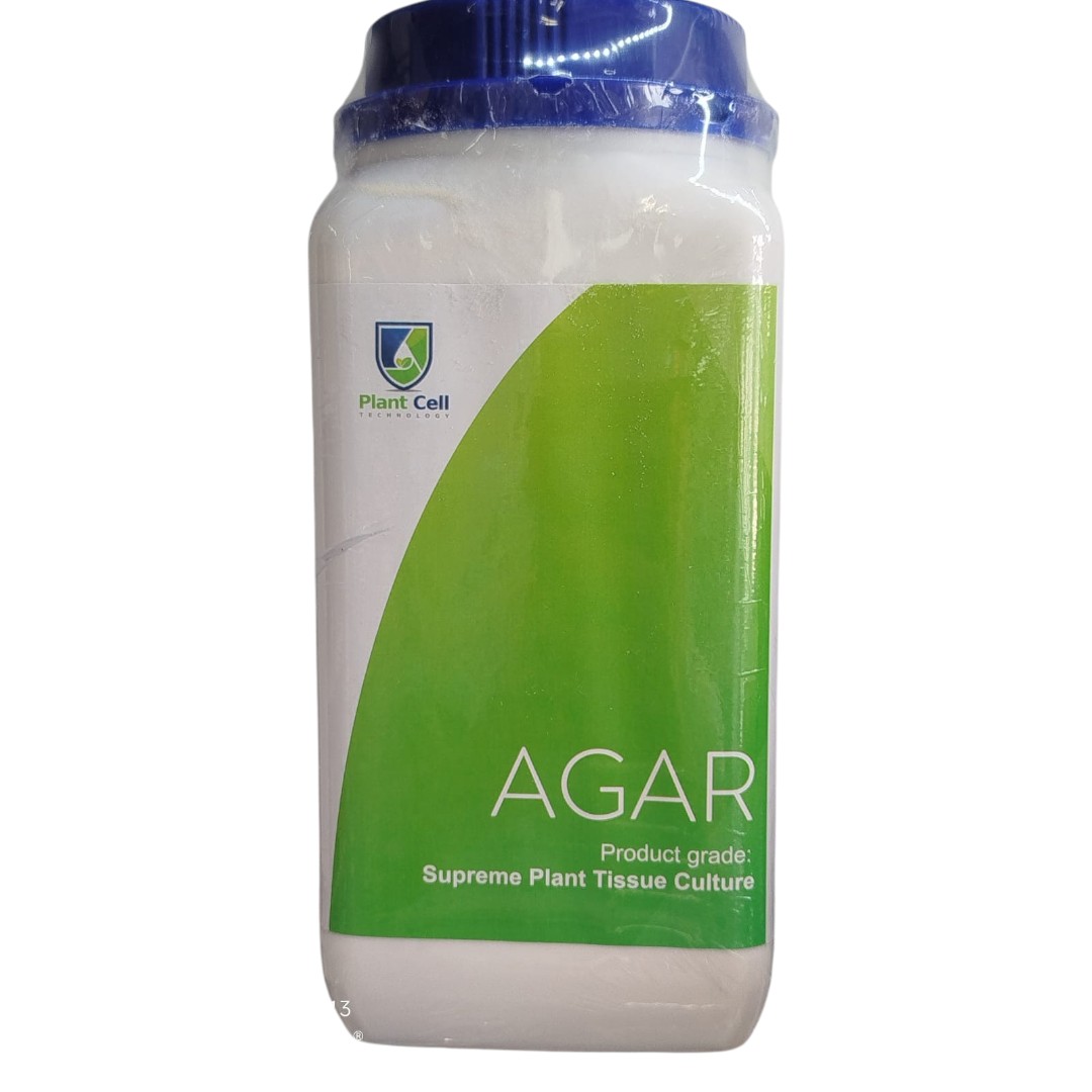 Agar Plant Cell 1