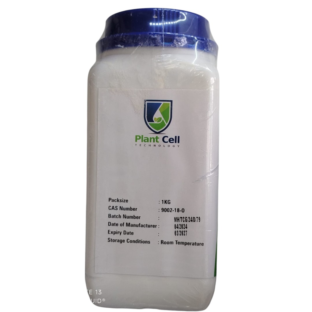 Agar Plant Cell 2