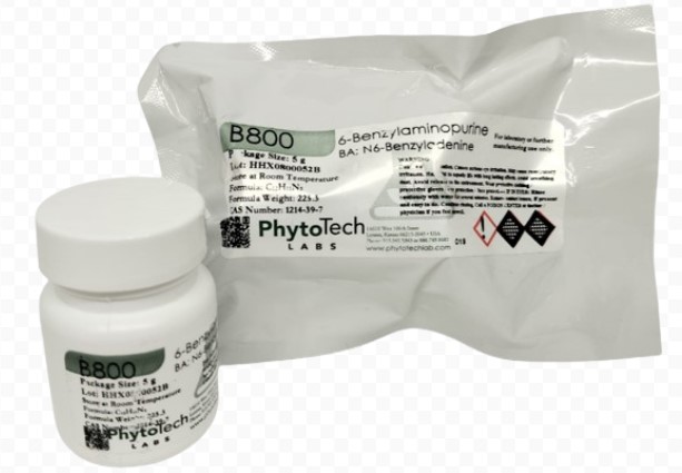 BAP 5G PHYTO