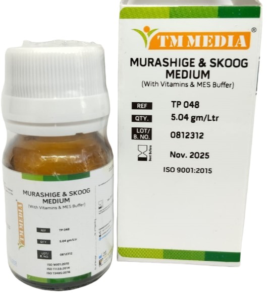 MSVMES TP048 1L-PhotoRoom